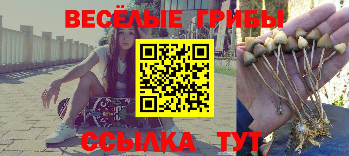 Галлюциногенные грибы MAGIC MUSHROOMS Зима