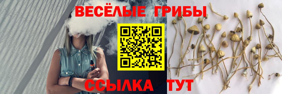 Зима  Псилоцибиновые грибы ЛСД  Вход с VPN 
